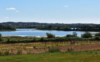 5-year Park expansion project complete!