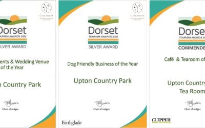 Tourism Awards & Discovery Project news