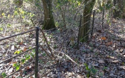 This Autumn we are restoring & replacing Estate fencing