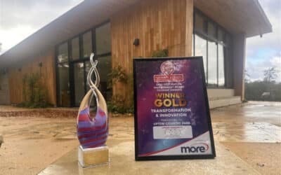 Gold Transformation and Innovation Award winners!