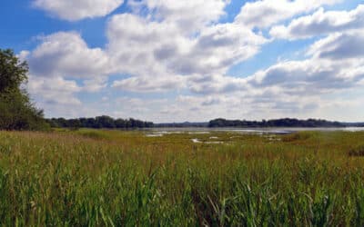 The Shoreline Path is now fully open!
