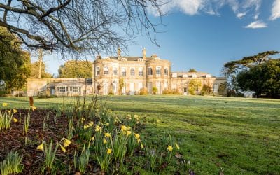 Help us create a long-term plan for Upton House to thrive