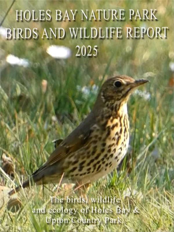 Annual Report 2024